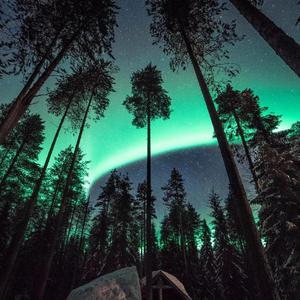 美女脱一光二净视频网站
