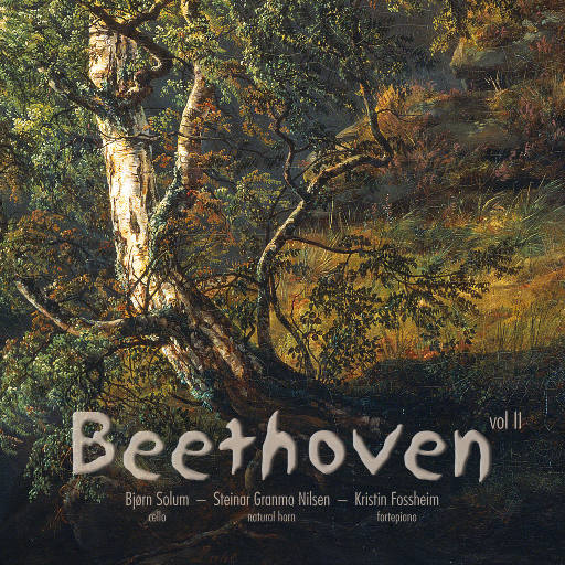 美女脱一光二净视频网站
